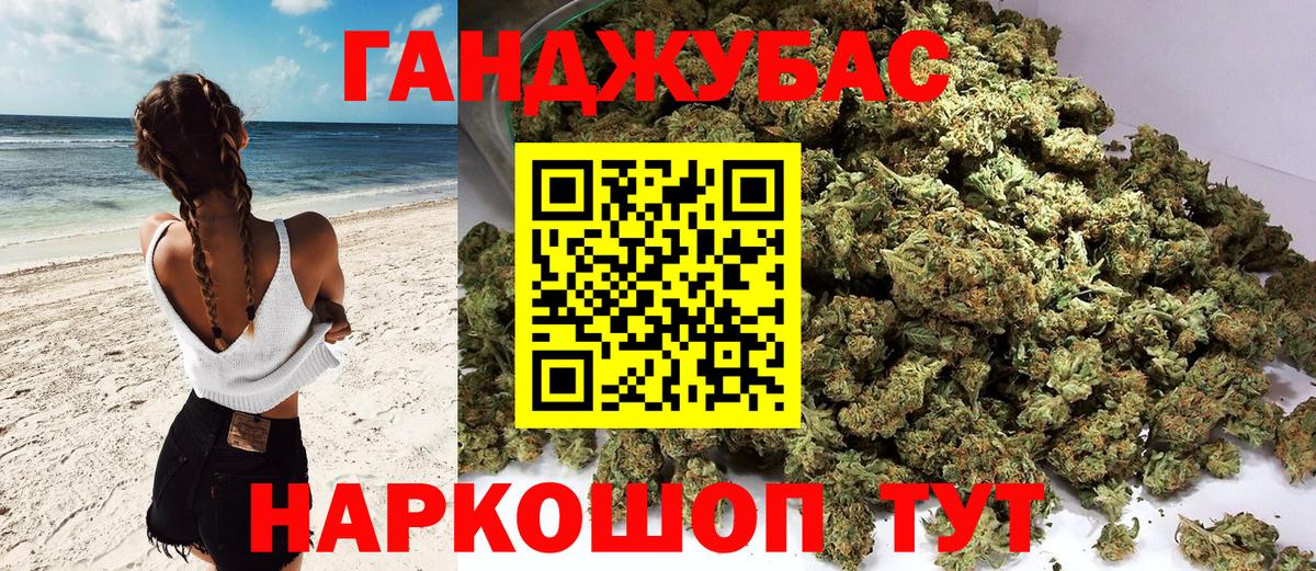 Каннабис индика Шахты
